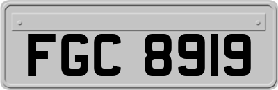 FGC8919