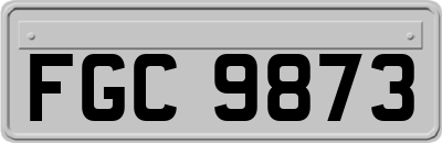 FGC9873