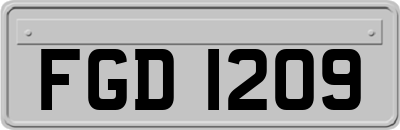 FGD1209