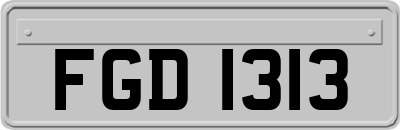 FGD1313