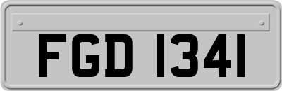 FGD1341