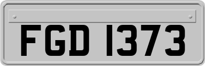 FGD1373