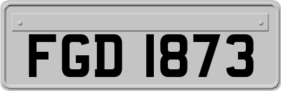 FGD1873