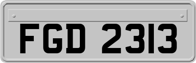 FGD2313