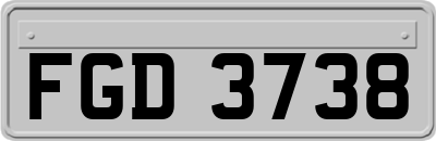 FGD3738