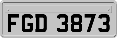 FGD3873