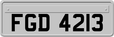 FGD4213