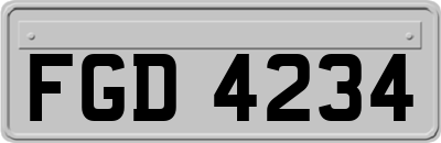 FGD4234