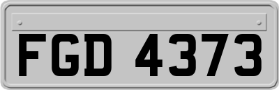 FGD4373