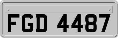 FGD4487