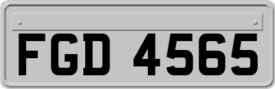 FGD4565