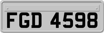 FGD4598