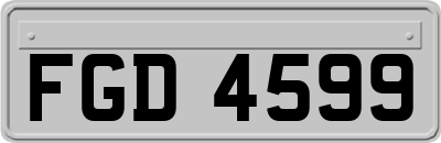 FGD4599