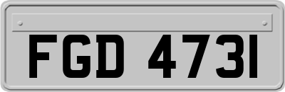 FGD4731
