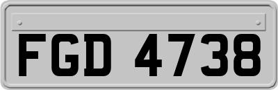 FGD4738