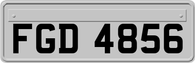 FGD4856