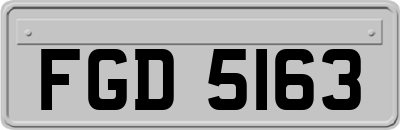 FGD5163