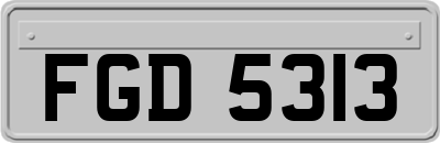 FGD5313