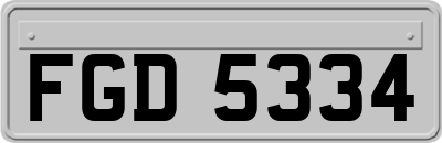 FGD5334