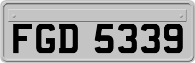 FGD5339