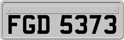 FGD5373