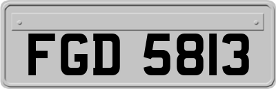 FGD5813