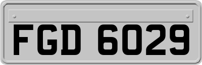 FGD6029
