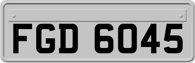 FGD6045