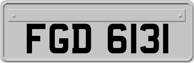 FGD6131