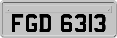 FGD6313