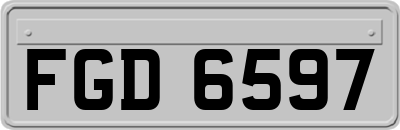 FGD6597