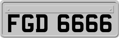 FGD6666