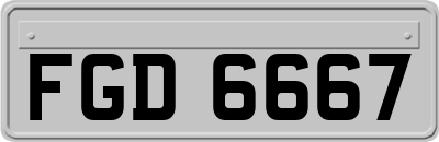 FGD6667