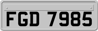 FGD7985