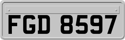 FGD8597