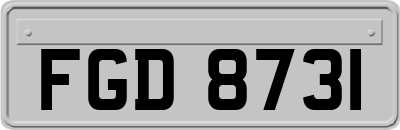FGD8731