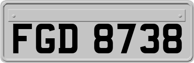 FGD8738
