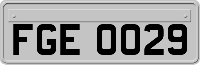 FGE0029