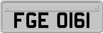 FGE0161