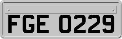 FGE0229