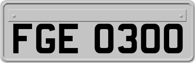FGE0300