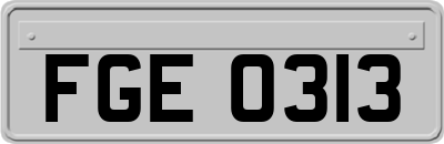 FGE0313