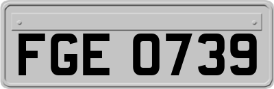 FGE0739