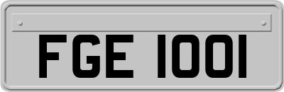 FGE1001