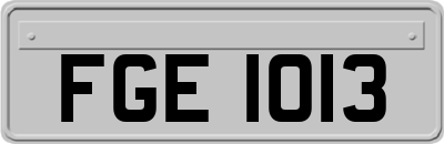 FGE1013