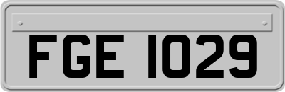 FGE1029
