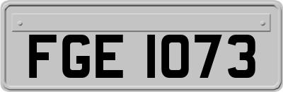 FGE1073