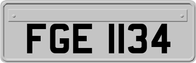 FGE1134