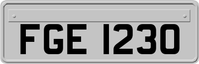 FGE1230
