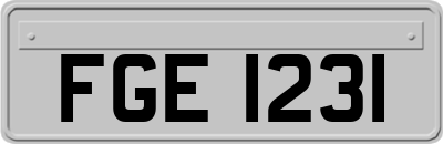 FGE1231